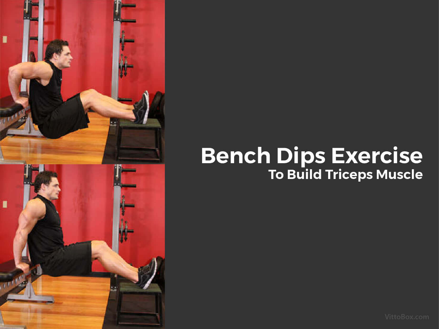 Bench Dips Exercise To Build Triceps Muscle