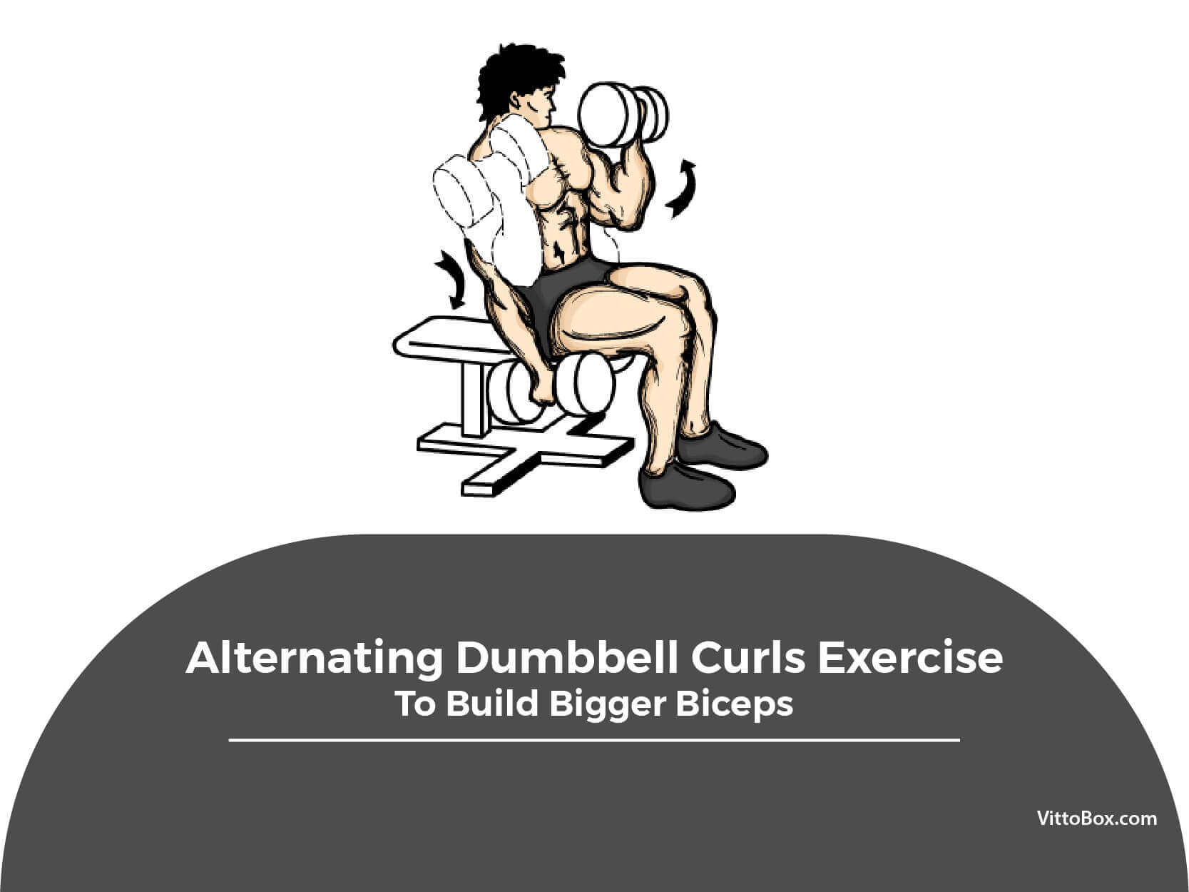 Alternating Dumbbell Curls Exercise To Build Biceps Muscle