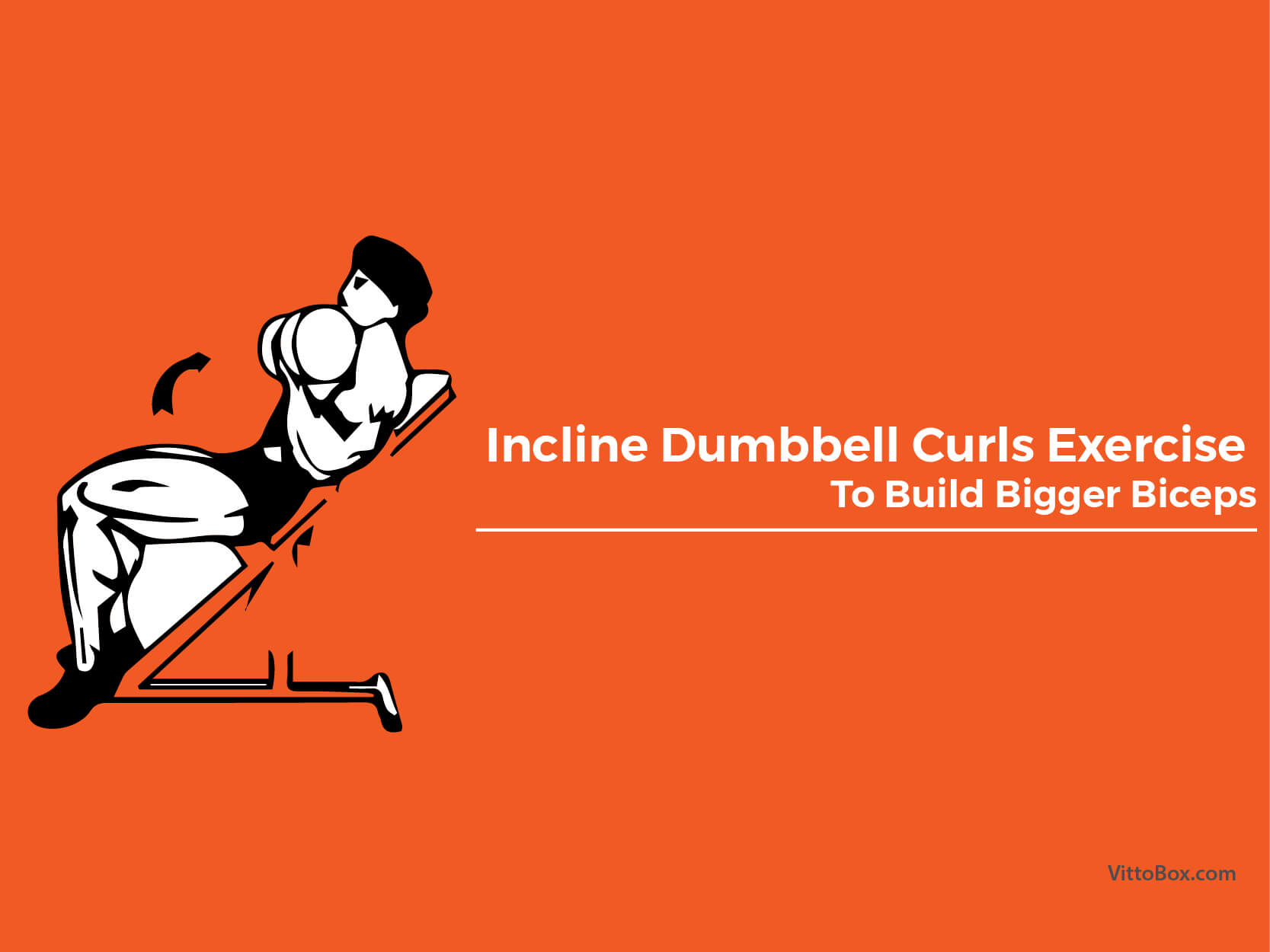 Incline Dumbbell Curls Exercise To Build Bigger Biceps