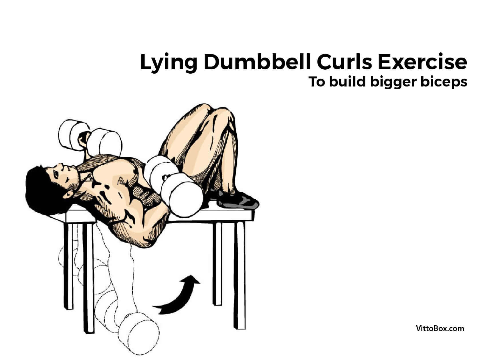 Lying Dumbbell Curls Exercise To Build Bigger Biceps