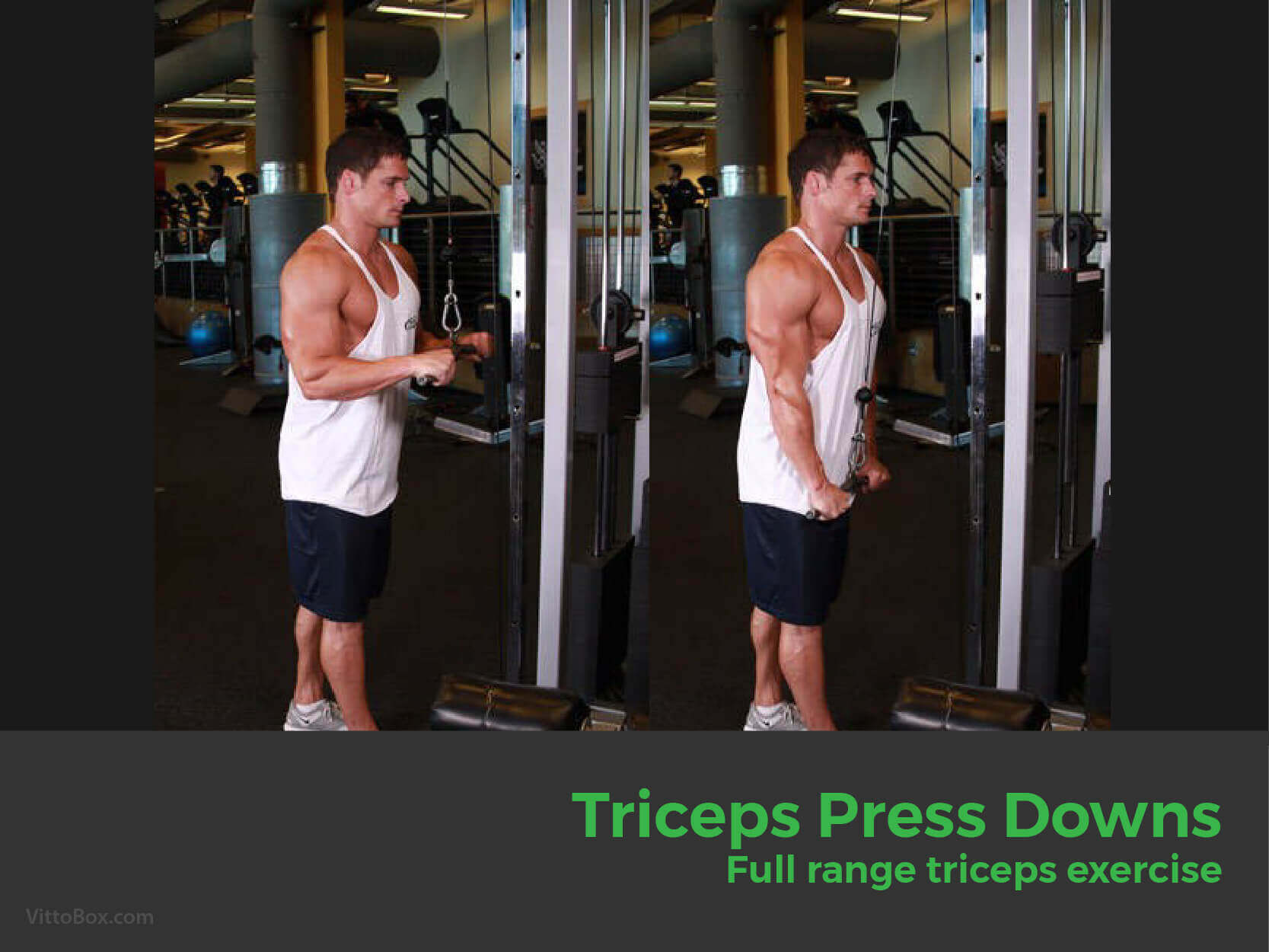 Triceps Press Downs - Full Range Triceps Exercise
