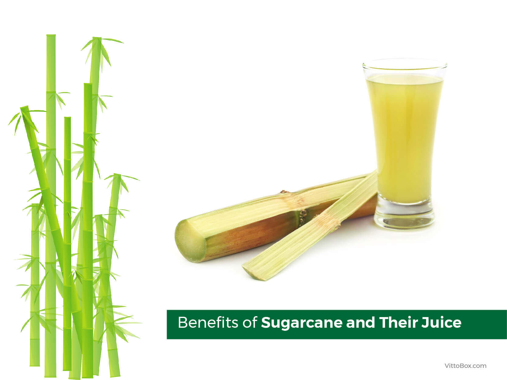 Benefits Of Sugarcane And Their Juice