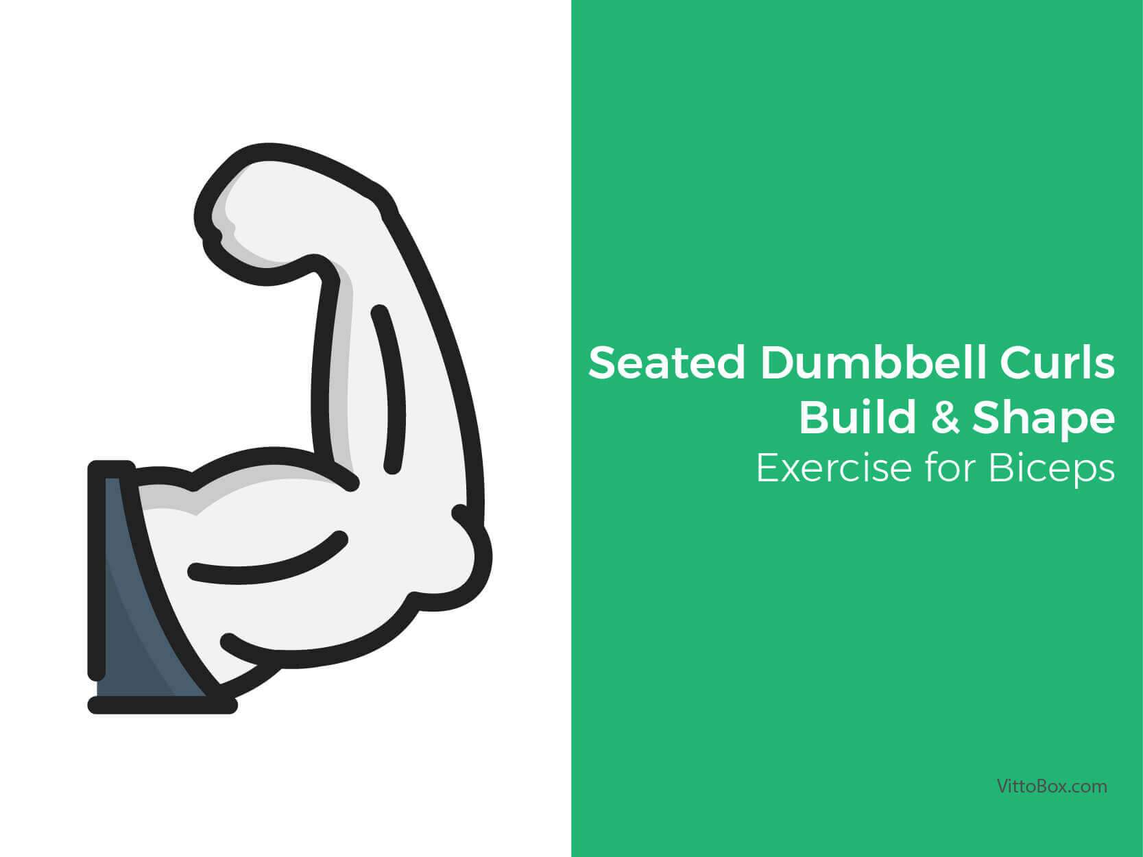 Seated Dumbbell Curls To Build And Shape Biceps