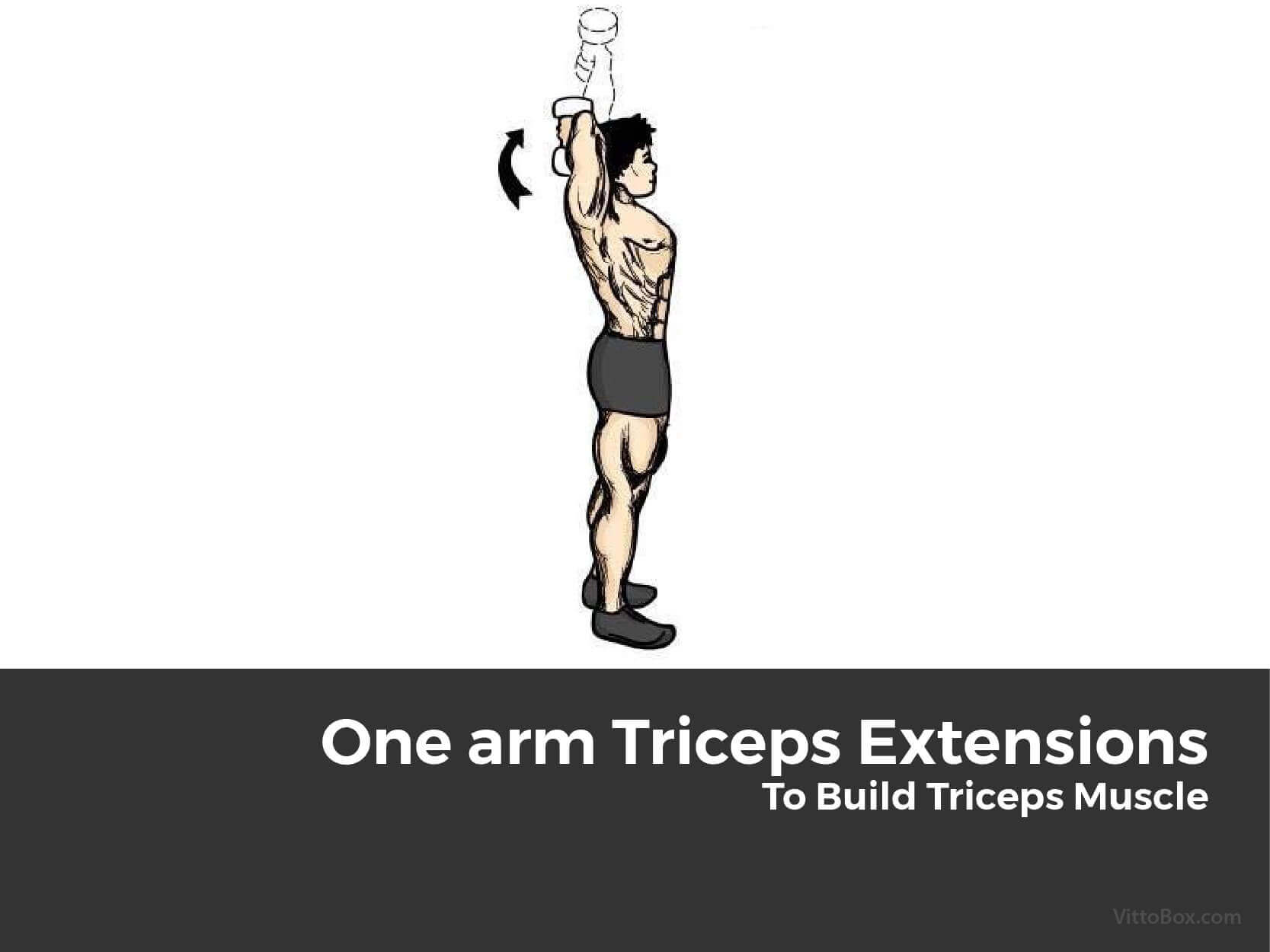 One Arm Triceps Extensions To Build Triceps Muscle