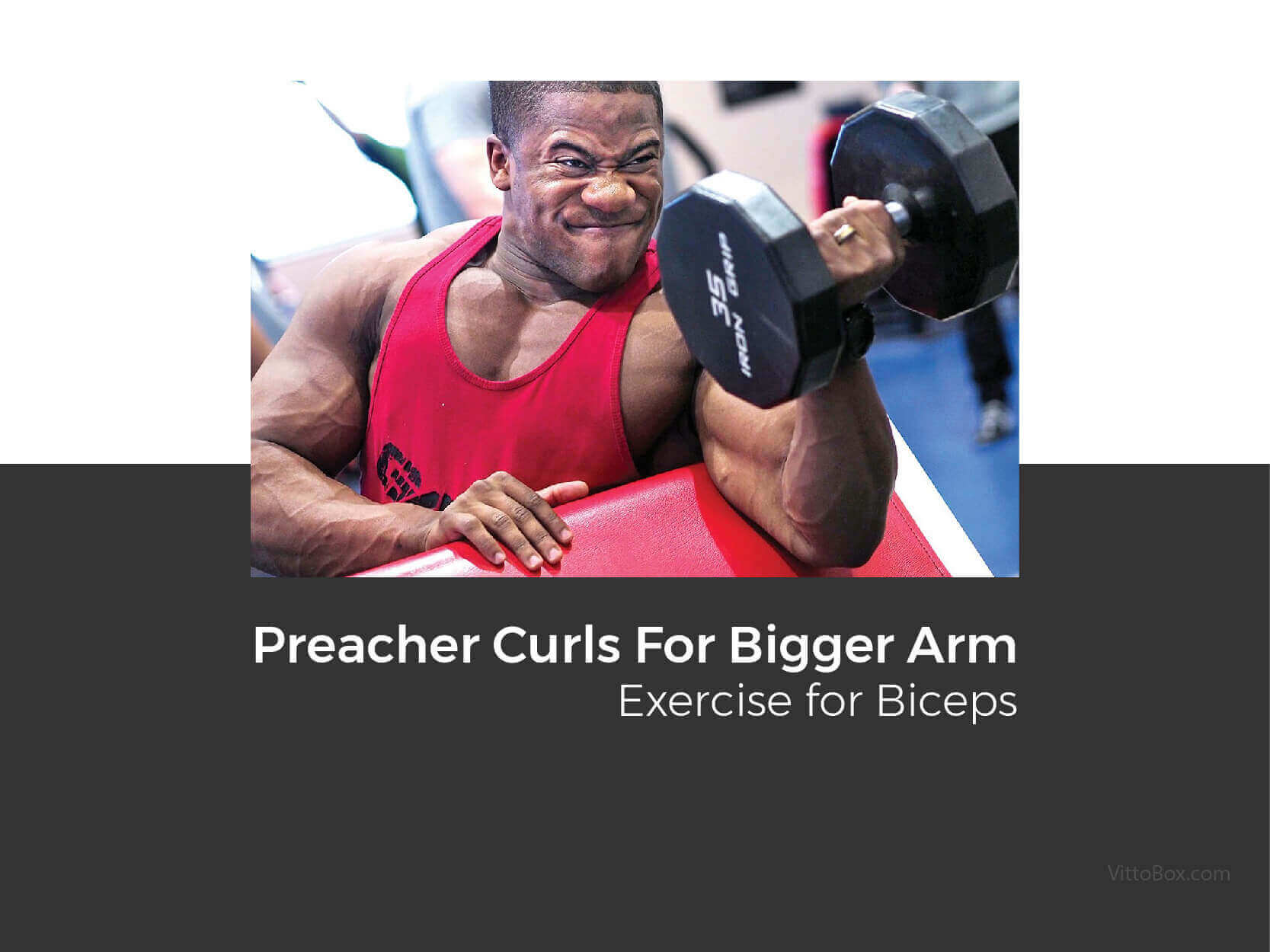 Preacher And Reverse Preacher Curl Exercise For Longer Biceps
