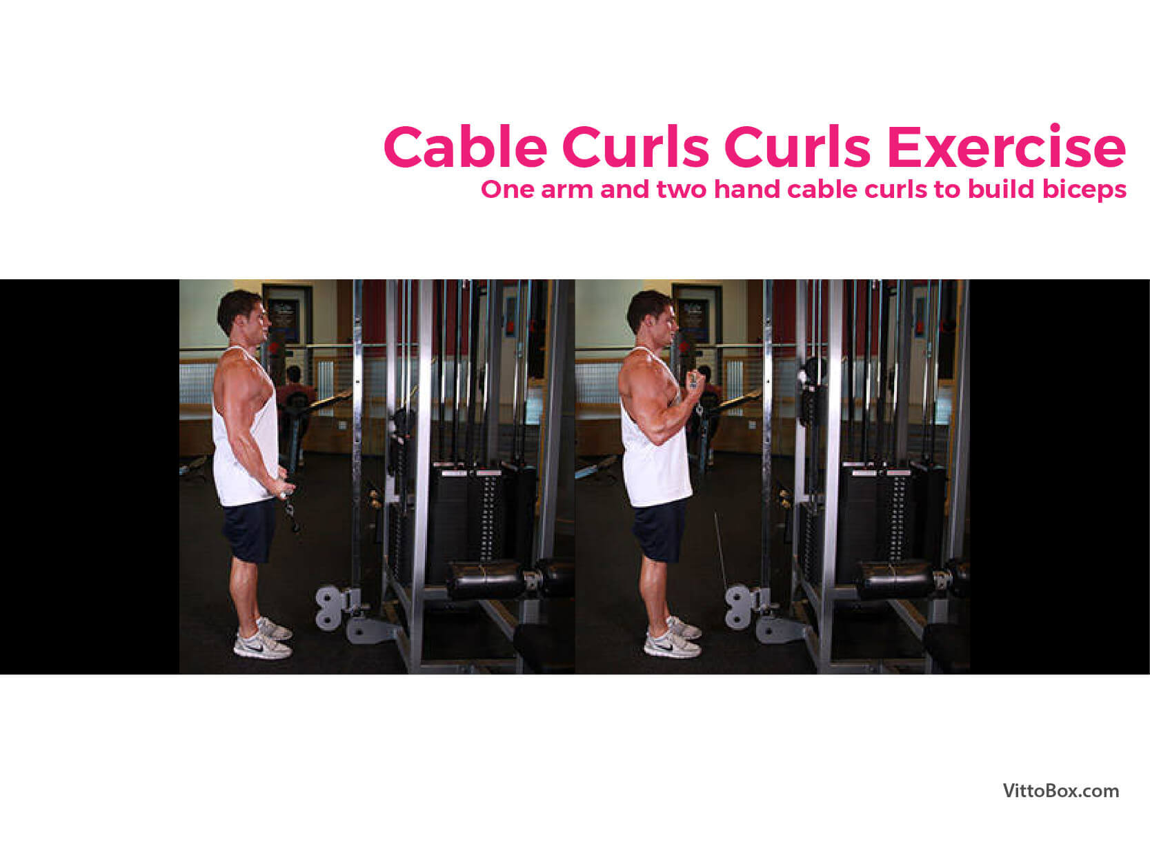 Cable Curls Exercise - One Arm And Two Hand Cable Curls To Build Biceps
