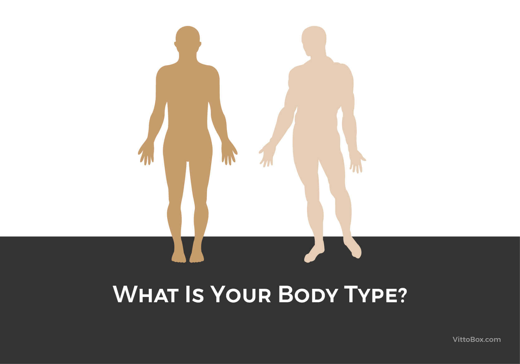 What Is Your Body Type?